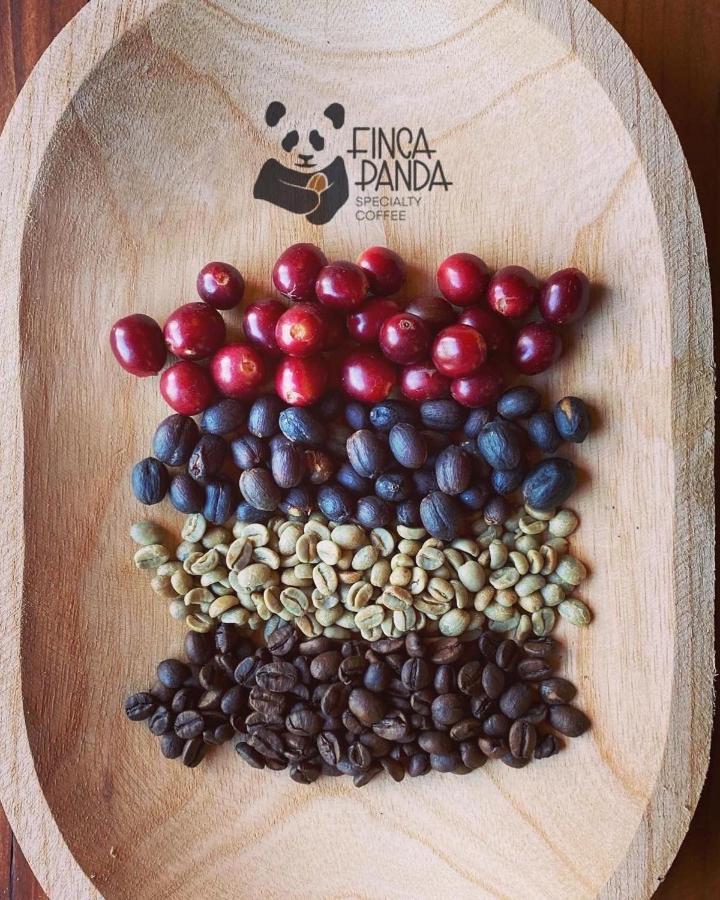 Finca Panda Boquete Bagian luar foto