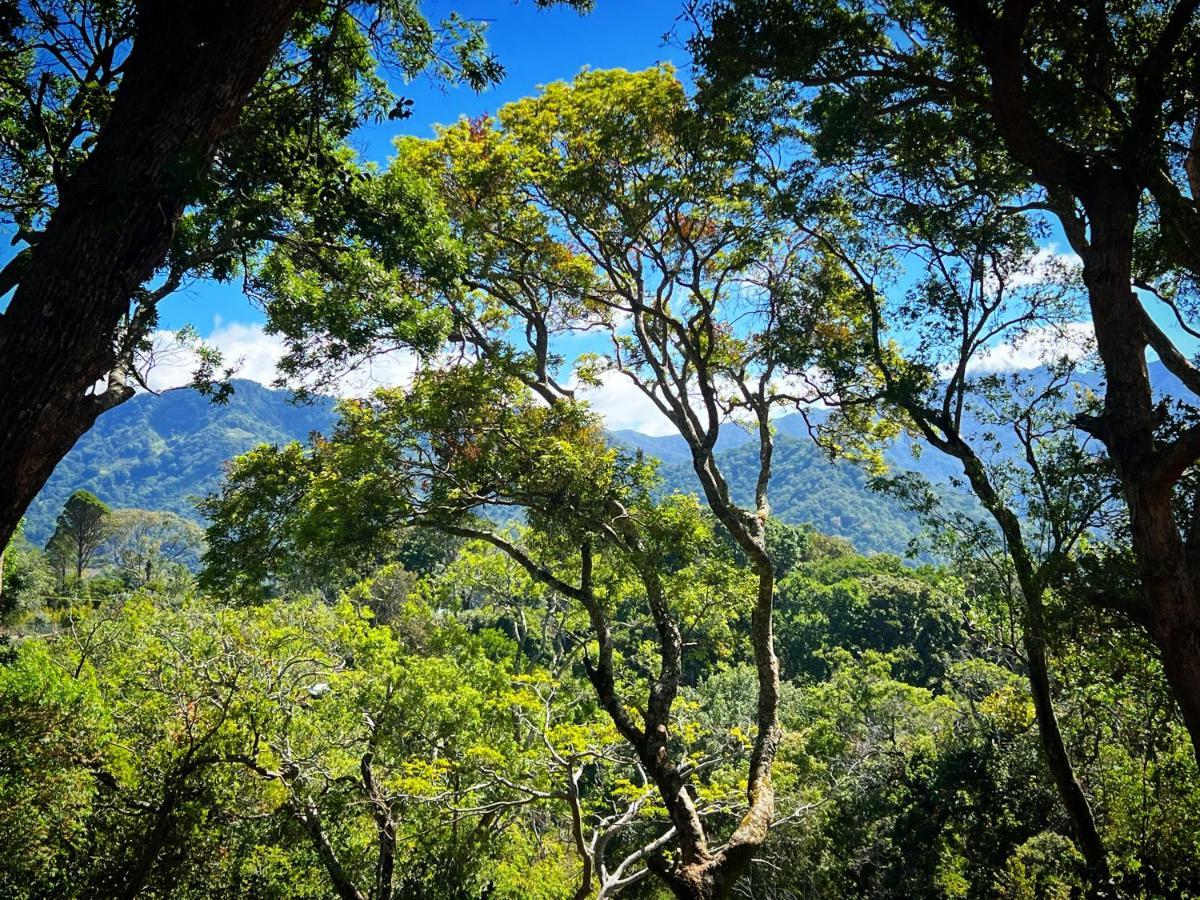 Finca Panda Boquete Bagian luar foto